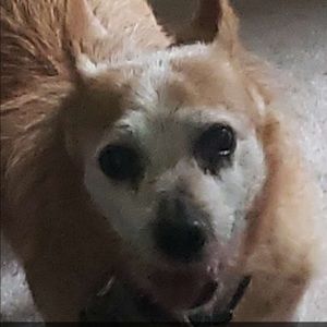 Meet your Posher, Jackson